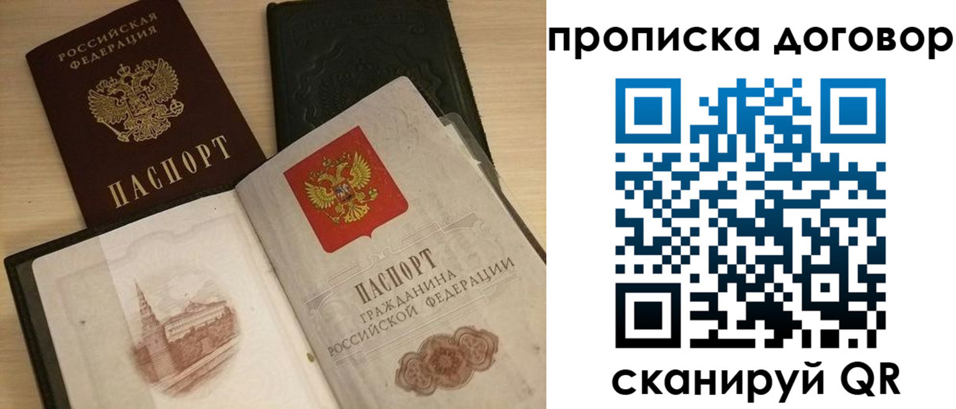 прописка поиск в Мурино